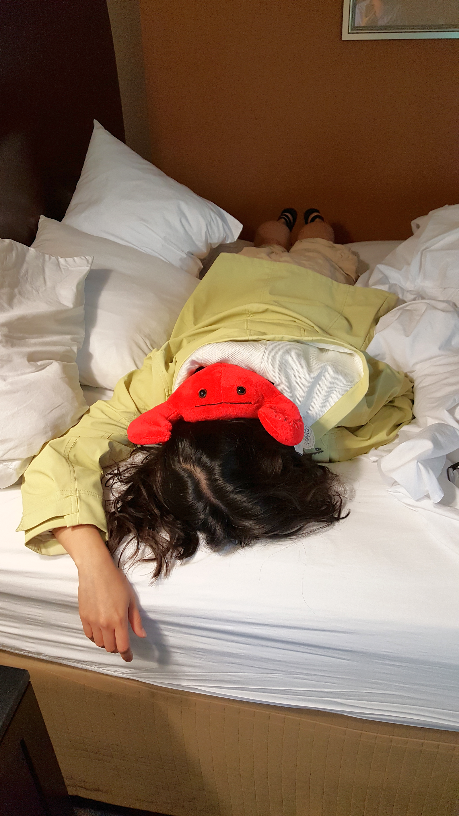 Entropyenator passed out with stuffed crab on head